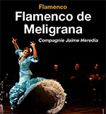FLAMENCO DE MELIGRANA