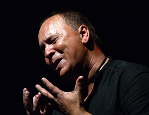 El Pele en el Auditorio de Madrid