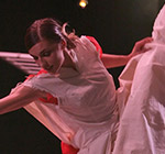 Flamenco 5 estrellas. Suma Flamenca