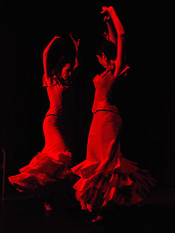 Academia Flamenca Las Hermanas