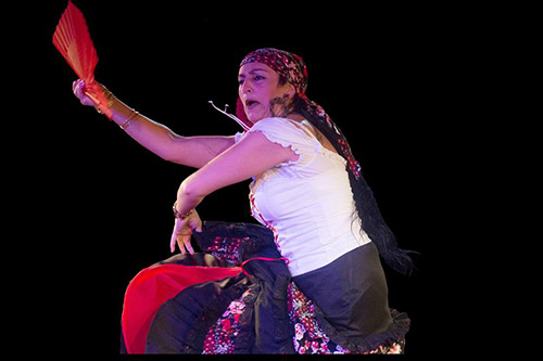 Flamenco Studio Mariví López Parra