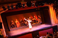 PALACIO DEL FLAMENCO