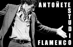 Estudio Flamenco Antoñete