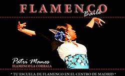 Patricia Manes - Clases