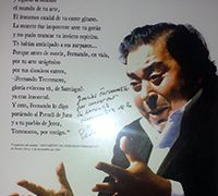 Asociacion Cultural Flamenca Fernando Terremoto