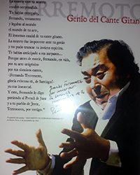 Asociacion Cultural Flamenca Fernando Terremoto