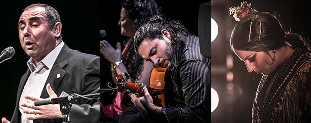Ganadores del XX Concurso Nacional de Arte Flamenco de Córdoba
