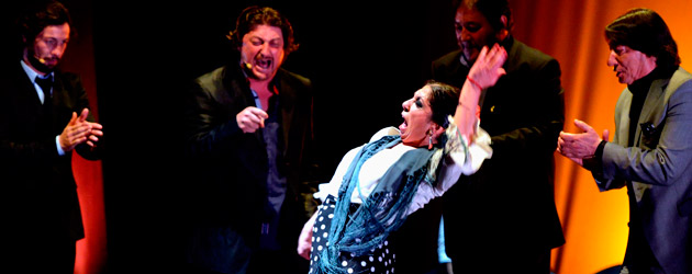 Suma Flamenca 2013, programación tercera semana.