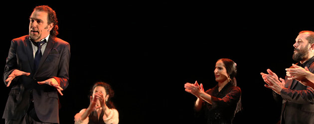 David Lagos - Festival Flamenco de Nimes