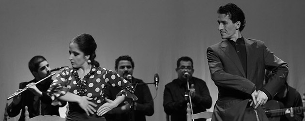 Concurso de Cante Silla de Oro & Miguel Téllez «Dalearte» – Fotos & videos