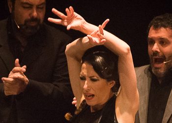 Ana Morales - Una mirada lenta