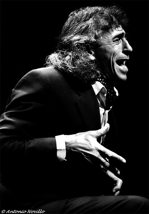 Capullo de Jerez - Flamenco a chorro