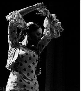 Fefa Gómez - Alicante