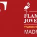 Flamenco Joven 2015 - Madrid