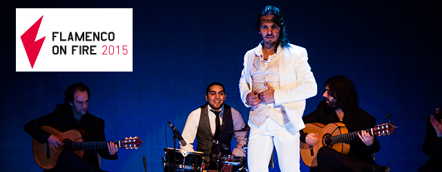 Ciclo Nocturno en Flamenco on Fire