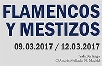 Flamencos y Mestizos - Fundación SGAE