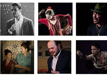 Flamencos y Mestizos