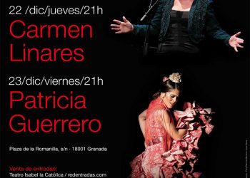 Un viaje hacía el Flamenco - Granada