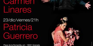 Un viaje hacía el Flamenco - Granada