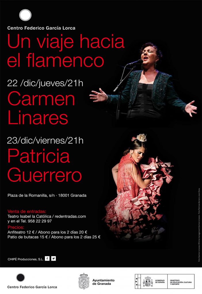 Un viaje hacía el Flamenco - Granada