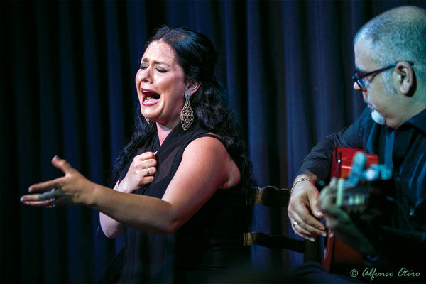 Finalistas Silla de Oro 2017