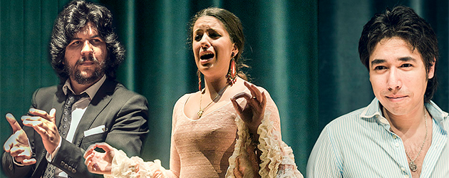Flamenco en el museo Lázaro Galdiano de Madrid
