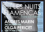 Les Nuits Flamencas de Avignon