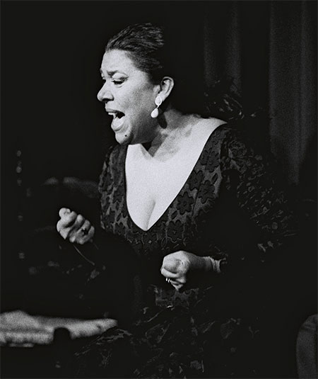 ¡Viva Jerez! - La Macanita