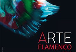 28 Festival Arte Flamenco Mont de Marsan