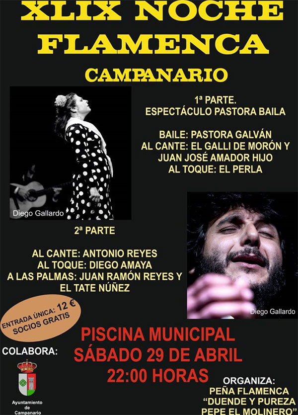 XILX Noche Flamenca Campanario 2017