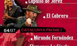 15º Festival Flamenco Nou Barris