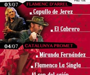 15º Festival Flamenco Nou Barris