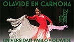 El compás del baile, flamenco, historia, evolución y realidad