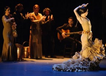 COMPAÑÍA OLGA PERICET Pisadas