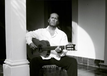 Homenaje a Paco de Lucía - Flamencos y otras aves
