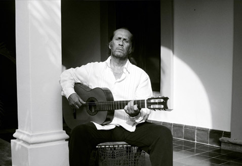 Homenaje a Paco de Lucía - Flamencos y otras aves