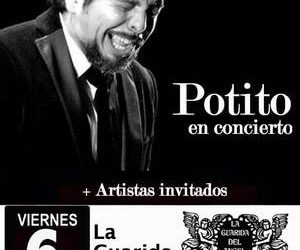 Potito - Guarida del Angel