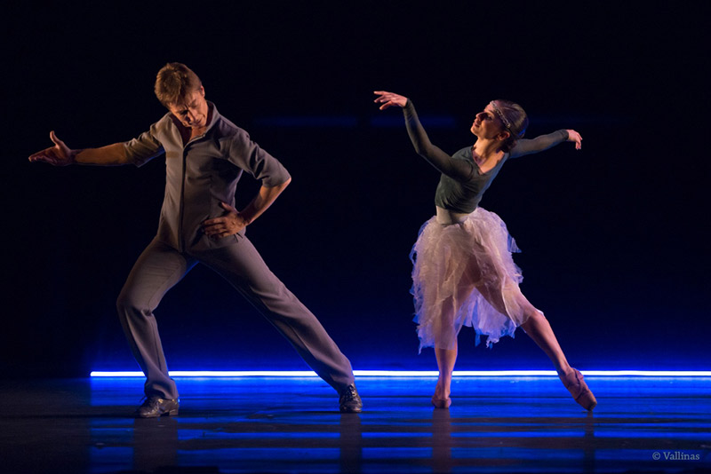 Sara Calero "Cosmogonía"