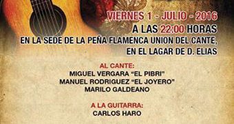 XXIX Velero Flamenco Las Lagunas - Mijas Costa