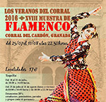 Muestra de Flamenco - Los Veranos del Corral