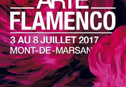 29e ARTE FLAMENCO - Mont-de-Marsan