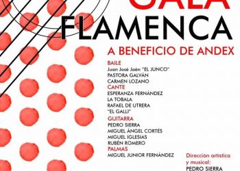 Gala Flamenca a beneficio de Andex