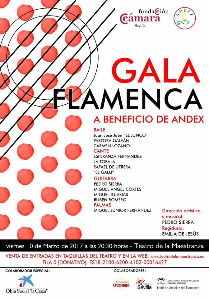 Gala Flamenca a beneficio de Andex