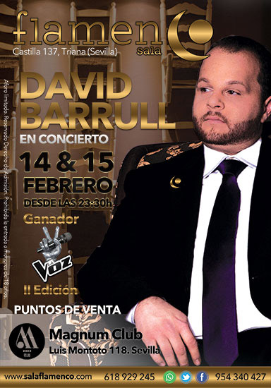David Barrull - Sala Flamenco - Sevilla