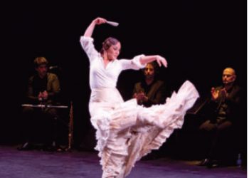 El baile y sus complementos. Concha Jareño