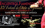 XV Festival de otoño de Granada