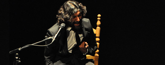 XV Festival de otoño de Granada