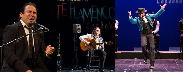 Ganadores del XXI Concurso Nacional de Arte Flamenco de Córdoba