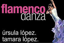 Flamencodanza Estudio
