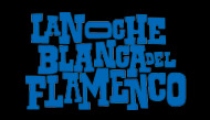 VI Noche Blanca del Flamenco 2013